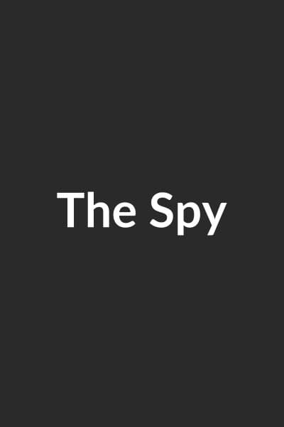 The Spy poster